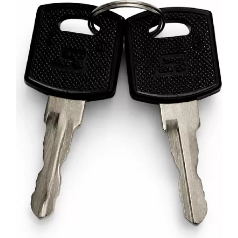 DSIT atsarginių raktų rinkinys lauko serverių spintų durims (9U-22U) - 2 raktai, DS-KEY-OUT-M
