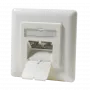 DSIT DC-Wall-In-STP6A-I įleidžiamas Cat.6a ekranuotas 2 prievadų RJ45 lizdas, dramblio kaulo spalvos