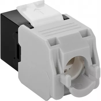 DS-IT CAT6a UTP Keystone tinklo jungtis - be įrankių - juoda (DS-KC-UTP6A-TL-1)