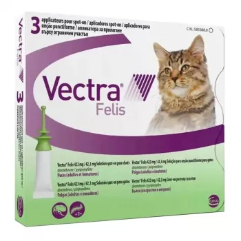 Ceva Vectra Felis katėms nuo blusų – 3 pipetės