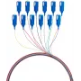 EFB Elektronik šviesolaidžio pigtail SC 9/125 OS2 12 spalvų rinkinys 2 m – vienmodžio kabelio/Adapterio rinkinys