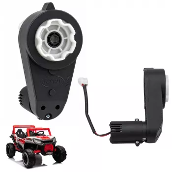 LEAN TOYS 24V variklio pavarų dėžė RPM-15000, skirta NLE-913 elektriniam važiuojančiam automobiliui