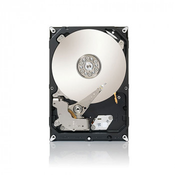 (DEMO) Seagate Desktop HDD ST3000DM001 3TB 3,5 colio vidinis kietasis diskas