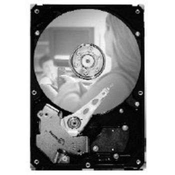 Seagate Barracuda 7200.10 ST3250820SCE 250GB 3,5 colio SATA kietasis diskas