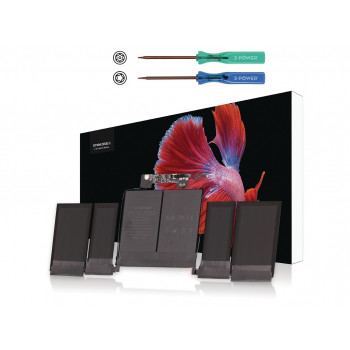 2-Power pagrindinė baterija (2P-020-02497)