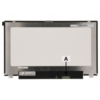 2-POWER 12,5 colio HD LED AG IPS matinis Dell 9X5G1 ekranas (2P-2HY74)