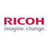 Ricoh D1583890 (D158-3890) elektrodų plokštelė atskyrimui