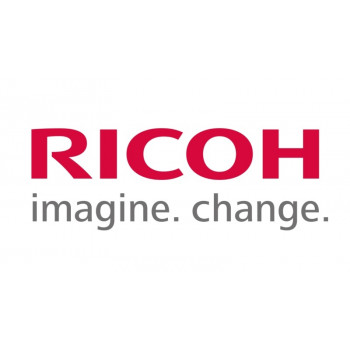 Ricoh M2053663 (M205-3663) galinio fuserio sandariklis