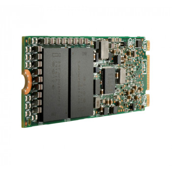 HP SKO-SSD 256GB PCIe-4x4 2280 NVMe diskas