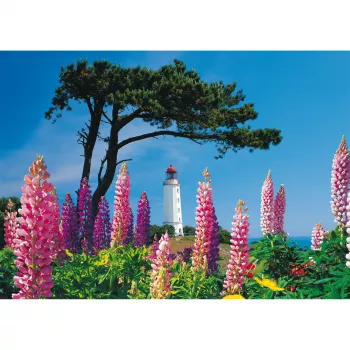 Schmidt Spiele Dornbusch Lighthouse, Hiddensee 1000 dalių dėlionė