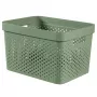 CURVER Infinity perdirbto plastiko dėžė 17L 36x27x22cm žalia