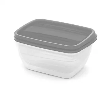 Curver Vedo stačiakampių dubenėlių rinkinys augintiniams 2x1,3L permatomas pilkas
