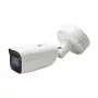 LevelOne FCS-5095 8MP lauko kupolinė IP kamera su IR, PoE, IK10