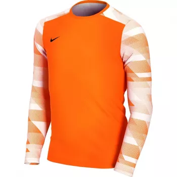 Nike Dry Park IV JSY LS GK Junior vartininko džemperis oranžinės spalvos CJ6072 819