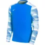 Nike Dry Park IV JSY LS GK Junior vartininko džemperis karališkai mėlynas CJ6072 463 XL