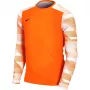 Nike Dry Park IV JSY LS GK Junior vartininko džemperis oranžinis CJ6072 819 S