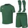 Nike Dri-FIT Park VIII mažų vaikų sportinis komplektas žalias HV8260 302 dydis S