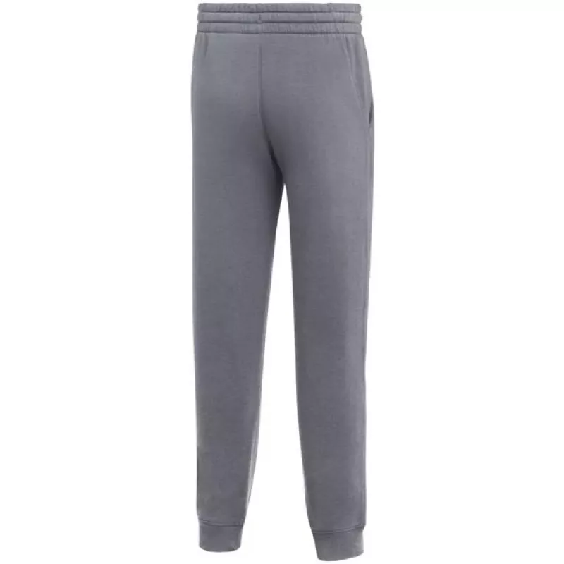 Nike Park 26 Fleece Joggers vaikams, pilkos spalvos IB1252 071 XS