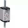 HAGER LNH2080MK NH saugiklis 80A 500V gG dydis 2C su indikatoriumi