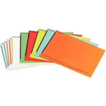 LEITZ Esselte pakabinamų bylų etiketės spintelėms, baltos, 60 x 12 mm, 100 vnt. (326400)