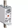 Hager LNH0035M NH000 gG 500V 35A saugiklis su K-Melder smeigtuku