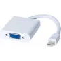 EXERTIS CONNECT adapteris Mini DisplayPort male į VGA female aktyvus 1920x1200 juodas 127433
