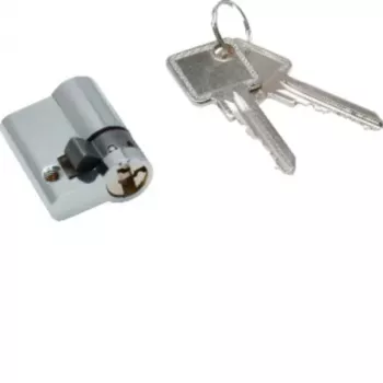 Hager profilio puscilindris ZAY50994 su 2 raktais 40x20x40