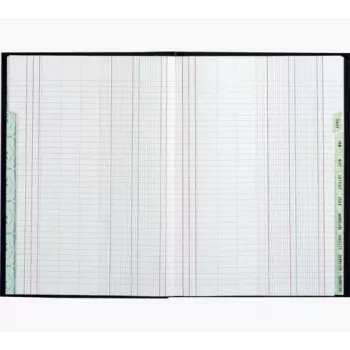 Le Dauphin Schedule Ledger Book A4, 96 puslapiai, 12 stulpelių, žaliu viršeliu 39721D