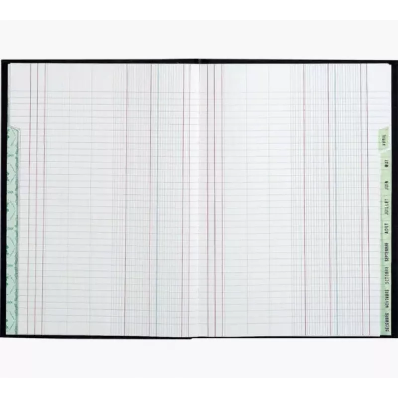 Le Dauphin Schedule Ledger Book A4, 96 puslapiai, 12 stulpelių, žaliu viršeliu 39721D