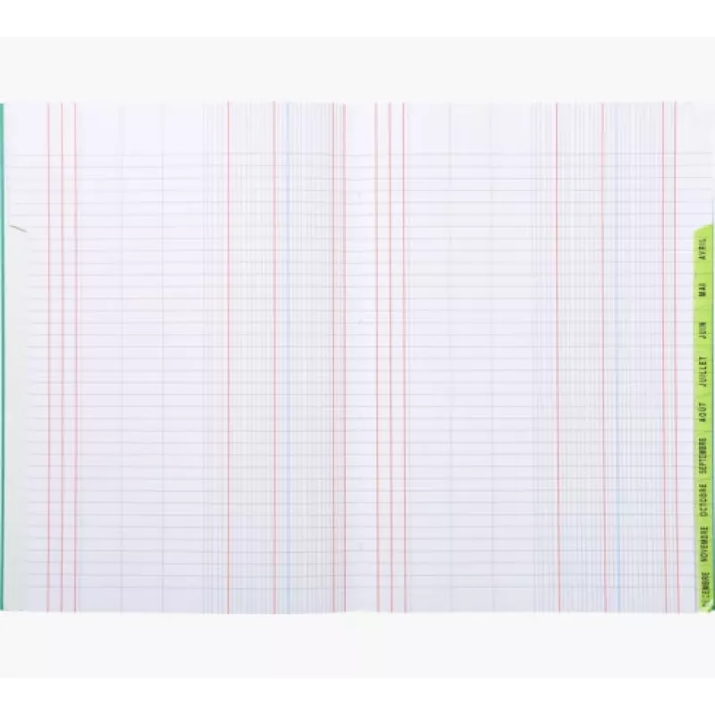 Le Dauphin Schedule Ledger Book A4, 96 puslapiai, 12 stulpelių, žaliu viršeliu 39721D