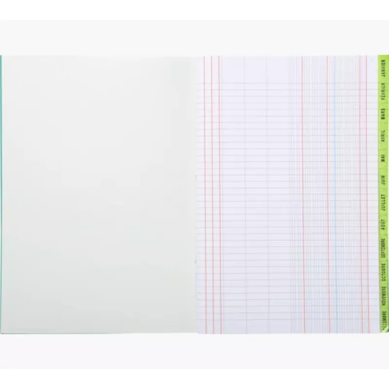 Le Dauphin Schedule Ledger Book A4, 96 puslapiai, 12 stulpelių, žaliu viršeliu 39721D
