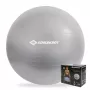 SCHILDKROT gimnastikos kamuolys 65 cm, sidabrinis, anti-burst 960156