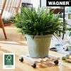 Wagner design yourself augalų vežimėlis GH 0438, kvadratinis, masyvaus buko medienos, 34 x 34 x 8 cm, 4 pasukamosios ratukų atramos, 100 kg keliamoji galia, natūralus, pritaikomas 20043801