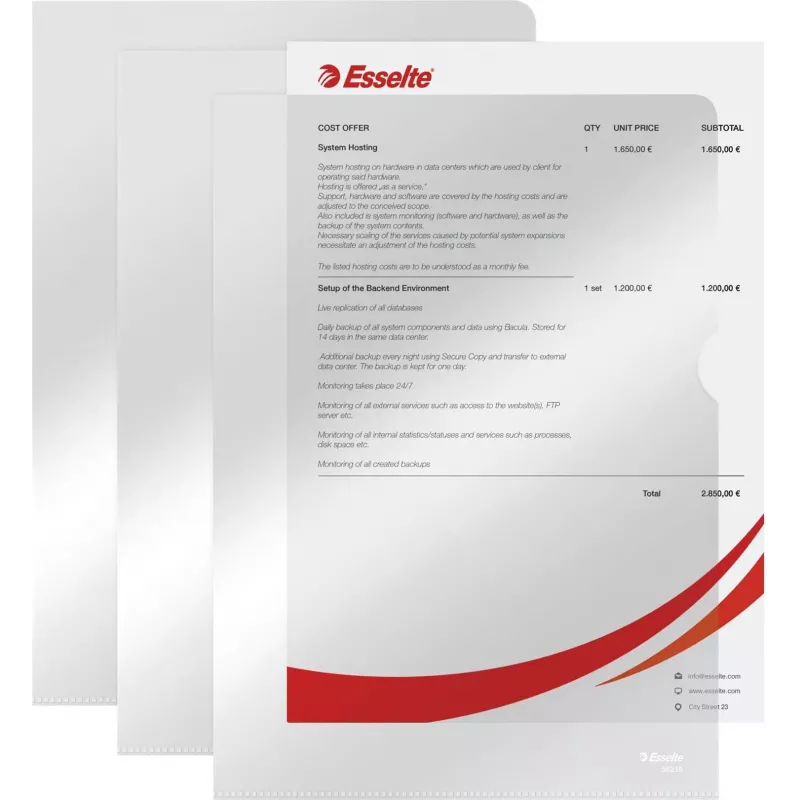 LEITZ Esselte Standard Plus A4 perforuoti kišenėlės, 100 vnt., permatomos, polipropilenas 56218