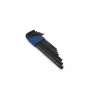 Brüder Mannesmann M 299 7 dalių L formos šešiakampių raktų rinkinys, chromo vanadžio plienas, metriniai 2,5-10 mm, DIN 911, satino chromu padengtas, su plastikiniu laikikliu