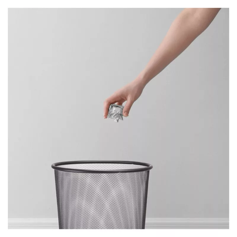Zeller Meshline atliekų šiukšliadėžė 17,5 l, antracito spalvos (17741)
