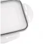 APS Ice Cube Box su dangteliu, permatomas/pilkas, 2 vnt. rinkinys, polipropilenas, tinka plauti indaplovėje 36103