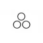 GLORIA O-ring tarpiklis 172/229 siurbliui (706400.0000)