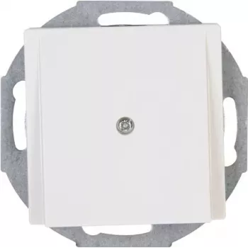 HEINRICH KOPP centrinė dengiamoji plokštė Pure White RAL 9010 492229006