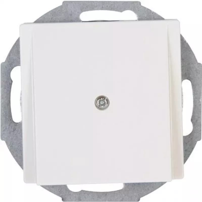 HEINRICH KOPP centrinė dengiamoji plokštė Pure White RAL 9010 492229006