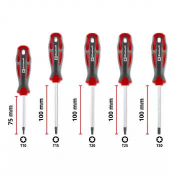 Einhell Universal Torx atsuktuvų rinkinys T10-T30, 5 vnt., magnetiniai antgaliai, chromo vanadžio plienas, ergonomiškos dvikomponentės rankenos, dirbtuvėms ir namų meistrams 370537