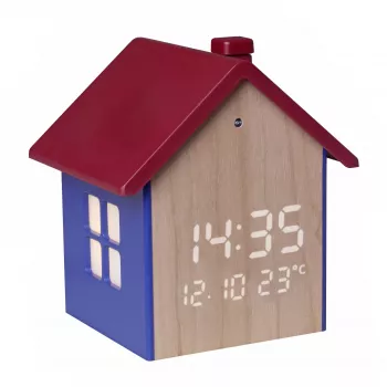 TFA Dostmann naminuko formos skaitmeninis žadintuvas, pilkas 60.2046.06