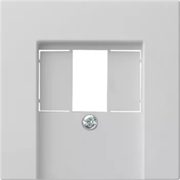 Gira System 55 dangtelis TAE ir USB, pilkas 0276015