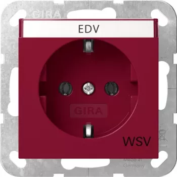 Gira 4457108 SCHUKO lizdas su atlenkiamu dangteliu, System 55, blizgiai balta