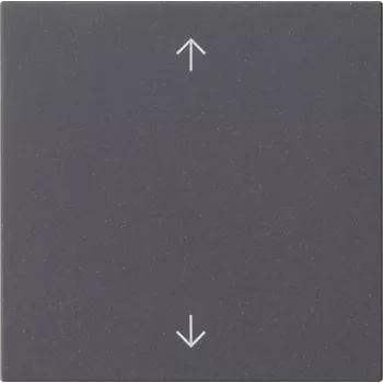 Gira Rocker 1-Gang Anthracite 538928