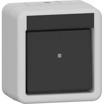 GIRA Wippschalter 310230 Aus 2-p WG AP gr (310230)