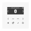JUNG DABLSBTWW išmanusis radijas DAB+ su Bluetooth, Alpine White