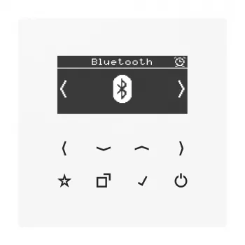 JUNG DABLSBTWW išmanusis radijas DAB+ su Bluetooth, Alpine White