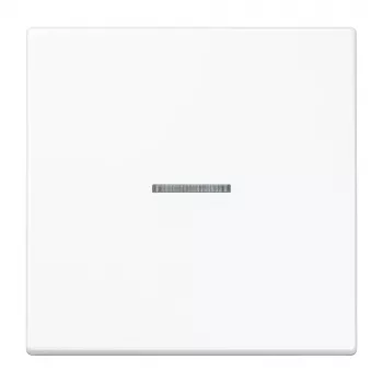Jung KNX RF vieno klavišo mygtukas 1-Gang termoreaktyvusis LS serijos Alpine White LS10911STRFWW