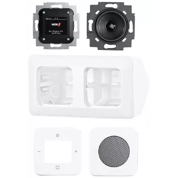 Busch-Jaeger Busch-Radio DAB+ komplektas kampiniam montavimui 8250 AJ-214-101 Studijų balta 2CKA008200A0235
